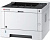 Принтер лазерный Kyocera ECOSYS P2040dn