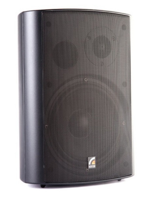 Акустическая система кронштейном для крепления, черная Roxton MS-40T В - 1